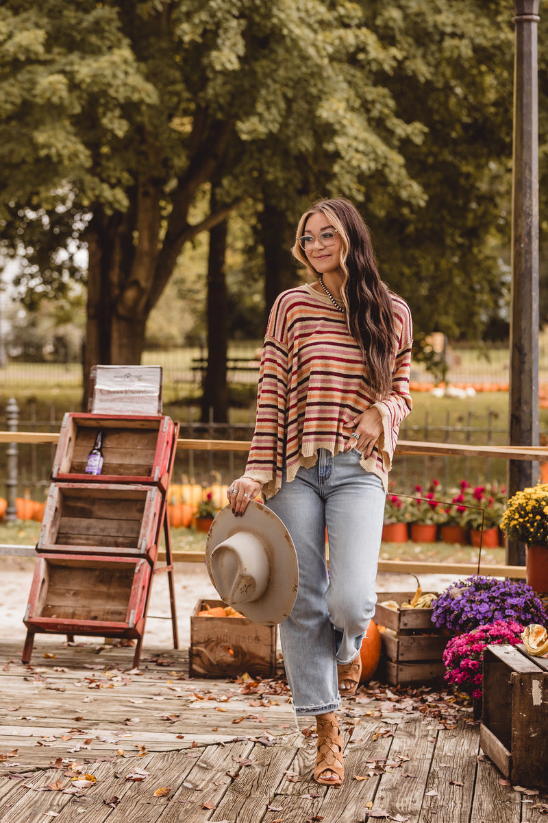 Desert Sunset Stripe Knit L/S